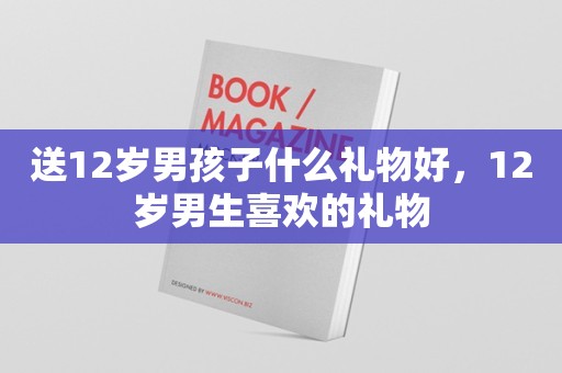 送12岁男孩子什么礼物好，12岁男生喜欢的礼物