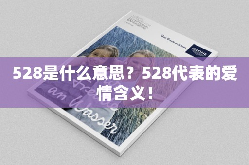 528是什么意思？528代表的爱情含义！