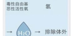 氕氘氚读音详解 化学小白也能轻松学会