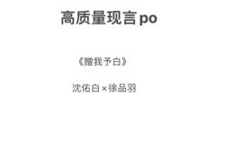 popo是什么 新手必看的popo入门指南