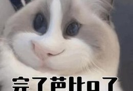 芭比Q是什么意思 原来这个词是这样用的