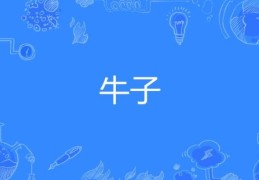 嗦牛子是什么意思网络用语大揭秘