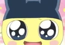 麻吉是什么意思原来是指好朋友这么简单