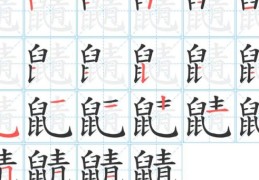 奀怎么读奀是什么意思 这个字你认识吗快来看看