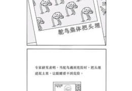 鸵鸟女孩是什么意思 现代年轻人逃避心态的新标签