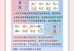 日决是什么意思 网络用语日决的由来与用法解析