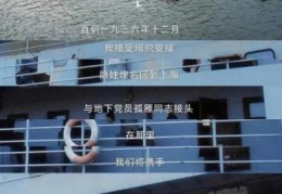 T22是什么意思 揭秘这个神秘代号的真实含义