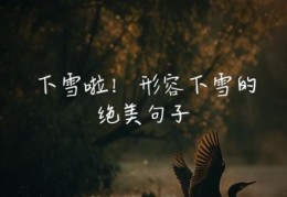 你那里下雪了吗是什么意思 这句问候为何如此动人