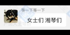 捡手机文学是什么意思 带你了解这种新型网络文学现象