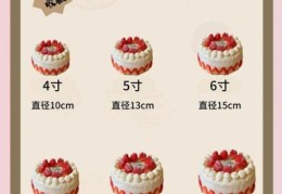 生日蛋糕尺寸有哪些 买蛋糕前必看尺寸详解