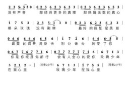 玫瑰少年是什么意思这个词是怎么来的