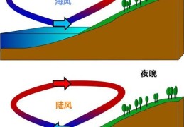盛行风是什么简单解释风的全球分布规律
