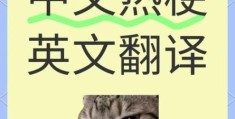 搜噶是什么意思网络流行语解析大揭秘