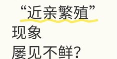 裙带关系是什么意思 它对社会和企业有哪些危害