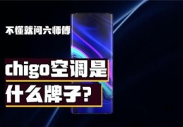 chigo是什么牌子 它家的产品到底好不好用