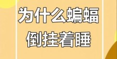 蝙蝠睡觉的姿势是倒挂着吗 为什么它们喜欢这样睡