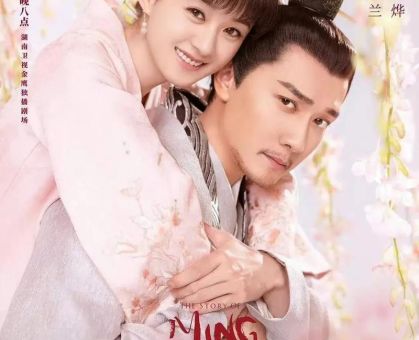 知否知否应是绿肥红瘦红瘦指的是颜色还是状态