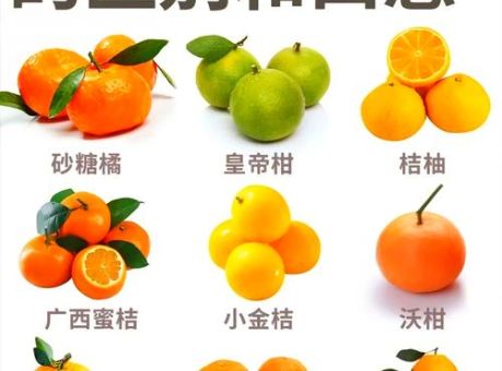 我去买几个橘子是什么意思真实含义大公开