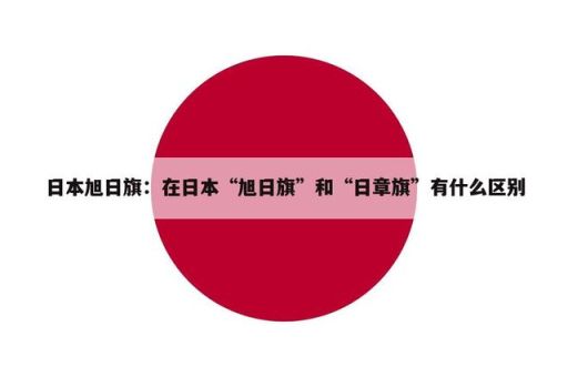 旭日旗和太阳旗的区别