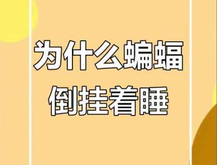 蝙蝠睡觉的姿势是倒挂着吗 为什么它们喜欢这样睡