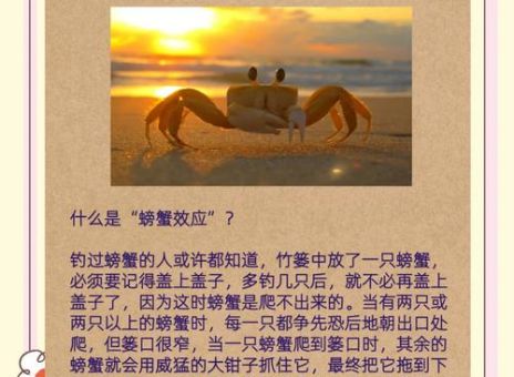 丁蟹效应是什么意思 为什么会影响股票市场