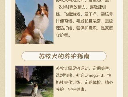 江苏为什么叫苏北狗 这个称呼到底有没有恶意