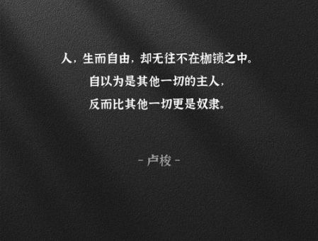 自由如风是什么意思 解读现代人向往的生活状态