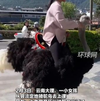 鸵鸟女孩是什么意思 现代年轻人逃避心态的新标签