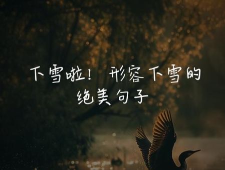 你那里下雪了吗是什么意思 这句问候为何如此动人