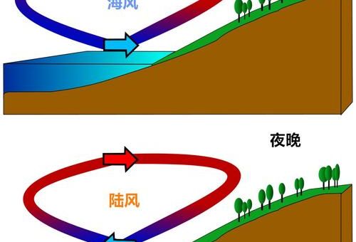 盛行风是什么简单解释风的全球分布规律