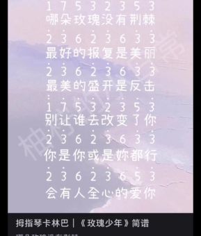 玫瑰少年是什么意思这个词是怎么来的