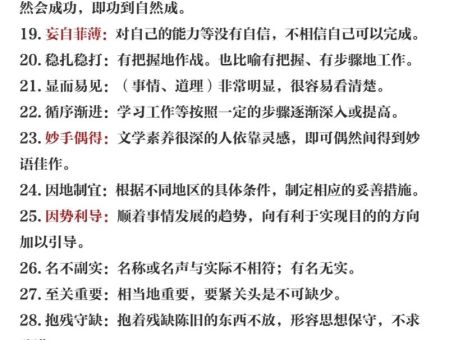 biss什么意思教你快速理解这个词