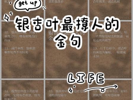 你喜欢银杏吗下一句如何巧妙回应更撩人