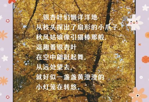 你喜欢银杏吗下一句如何巧妙回应更撩人