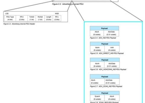 网络用语bleep是什么意思常见用法解析