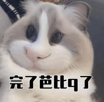 芭比Q是什么意思 原来这个词是这样用的