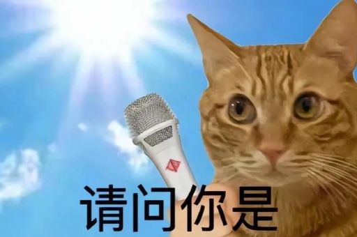 我是你爹是什么梗 教你正确玩转这个网络热梗