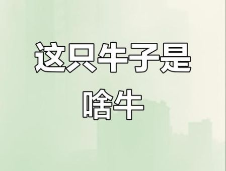 嗦牛子是什么意思网络用语大揭秘