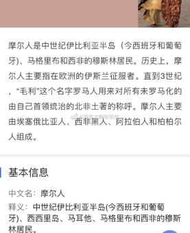 摩尔人是什么人？揭秘这个神秘民族的历史与文化