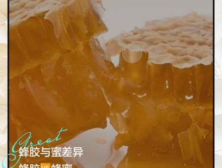 制造蜂蜡的是哪种蜜蜂 蜂群中的小工匠揭秘