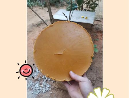 制造蜂蜡的是哪种蜜蜂 蜂群中的小工匠揭秘