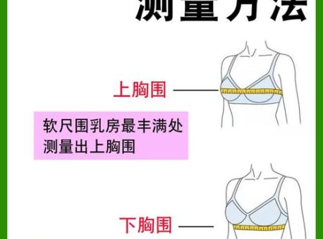 bwh是哪三围 教你正确测量胸腰臀围