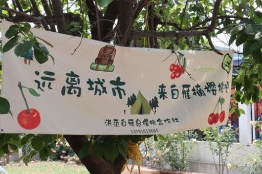 浪浪山是什么意思 网友都在讨论的热梗解析
