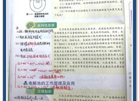 什么是霍夫曼降解反应 化学老师教你快速理解
