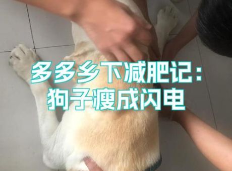 闪电定点瘦安全吗？专家解答你的所有疑问